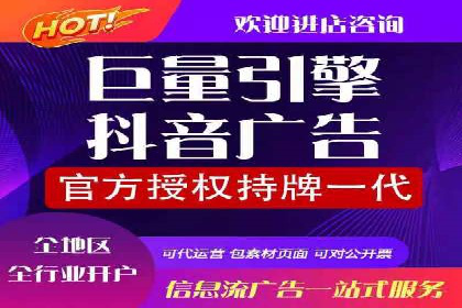 SEM外包策略在电商平台的成功案例
